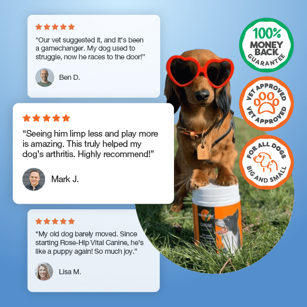 Dog Joint Supplement Powder product image 8