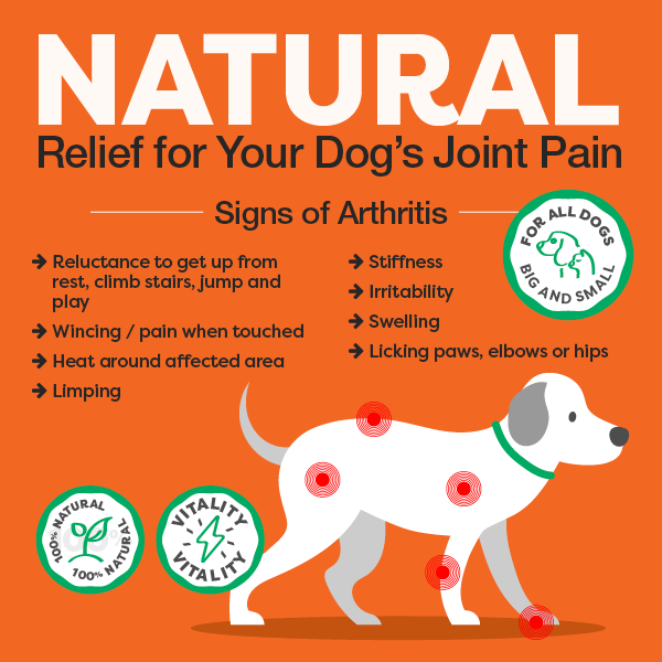 Dog Joint Supplement Powder product image 9