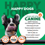 Dog Joint Supplement Powder product image 10