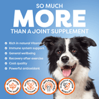 Dog Joint Supplement Powder product image 11
