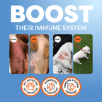 Dog Joint Supplement Powder product image 12