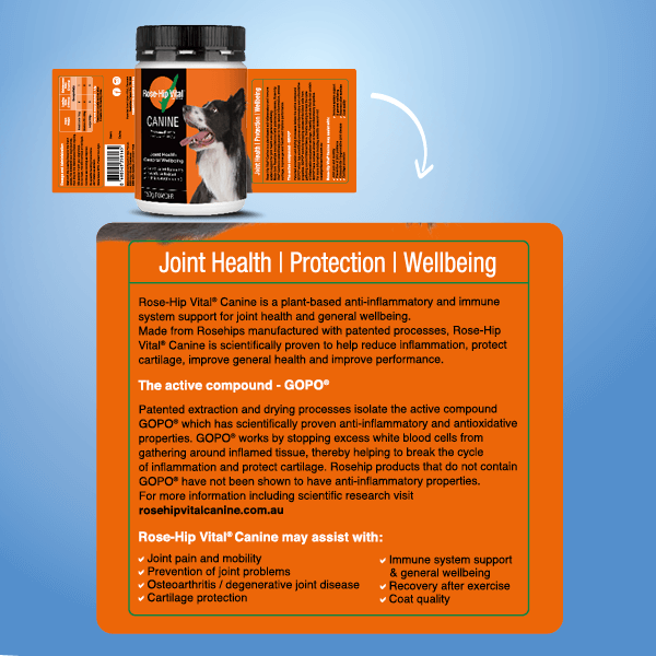 Dog Joint Supplement Powder product image 15