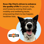 Dog Joint Supplement Powder product image 16