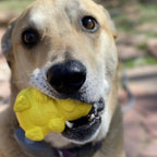 Dog Treat Dispenser product image 6