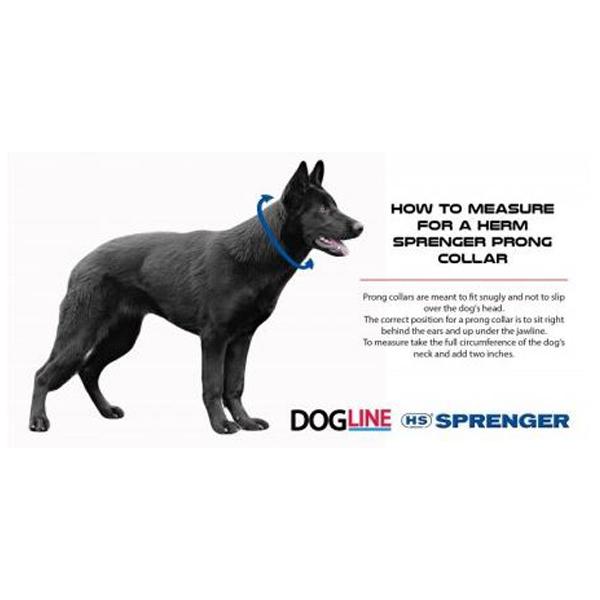 Dog Prong Collar product image 4