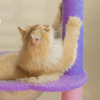 A cat scratching in the condo of the Moonlight Deluxe Cat Tree