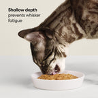 Ceramic Cat Bowl product image 3