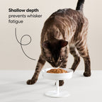 Elevated Cat Bowl product image 5