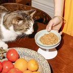 Elevated Cat Bowl product image 7