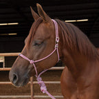 Rope Halter product image 4