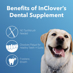 Dog and Cat Dental Powder Supplement product image 3