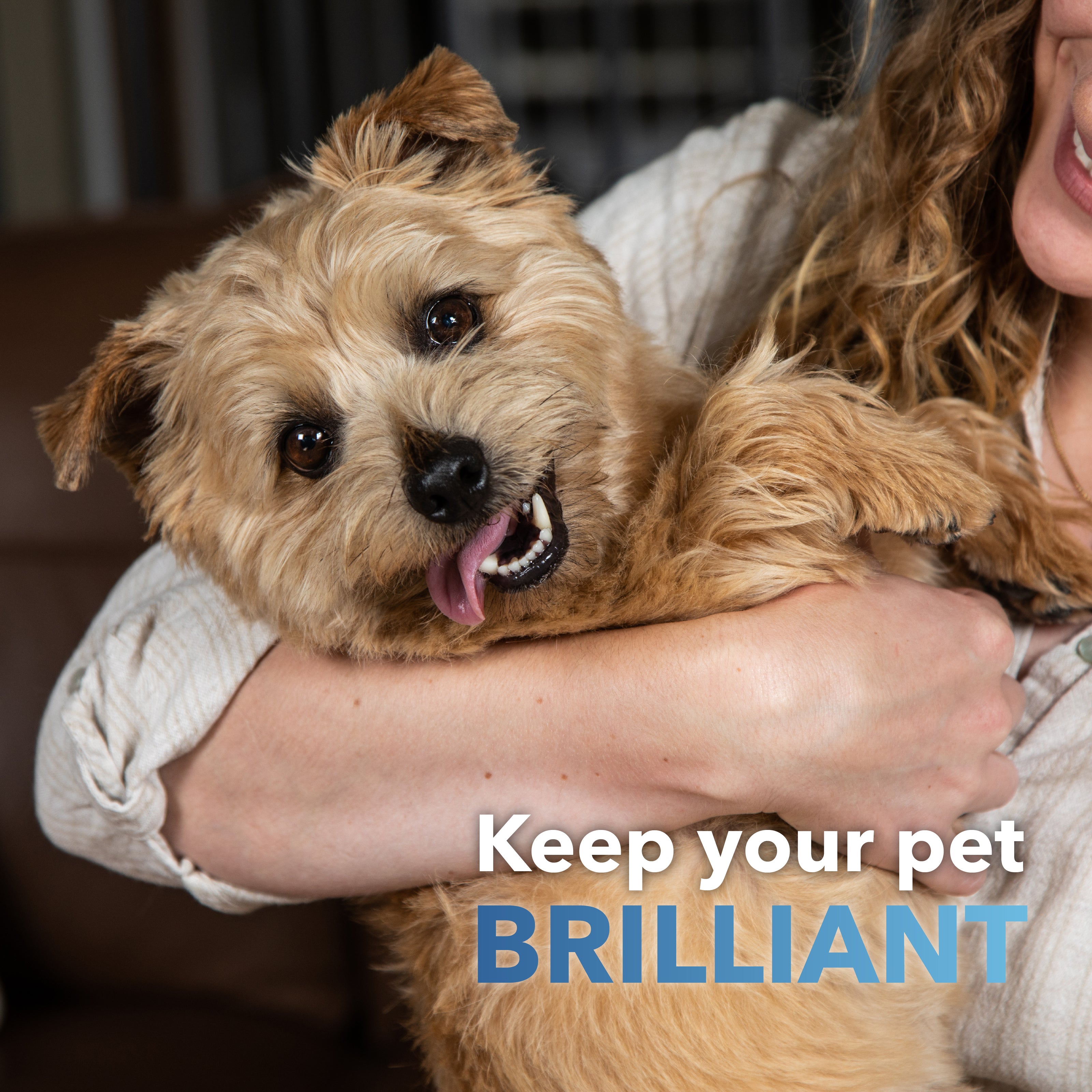 Dog and Cat Dental Powder Supplement product image 7