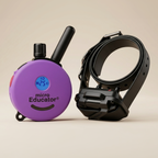 Remote Training Collar product image 1