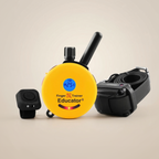 Remote Dog Trainer product image 1