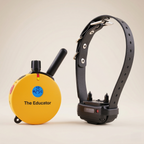 Remote Training Collar product image 1