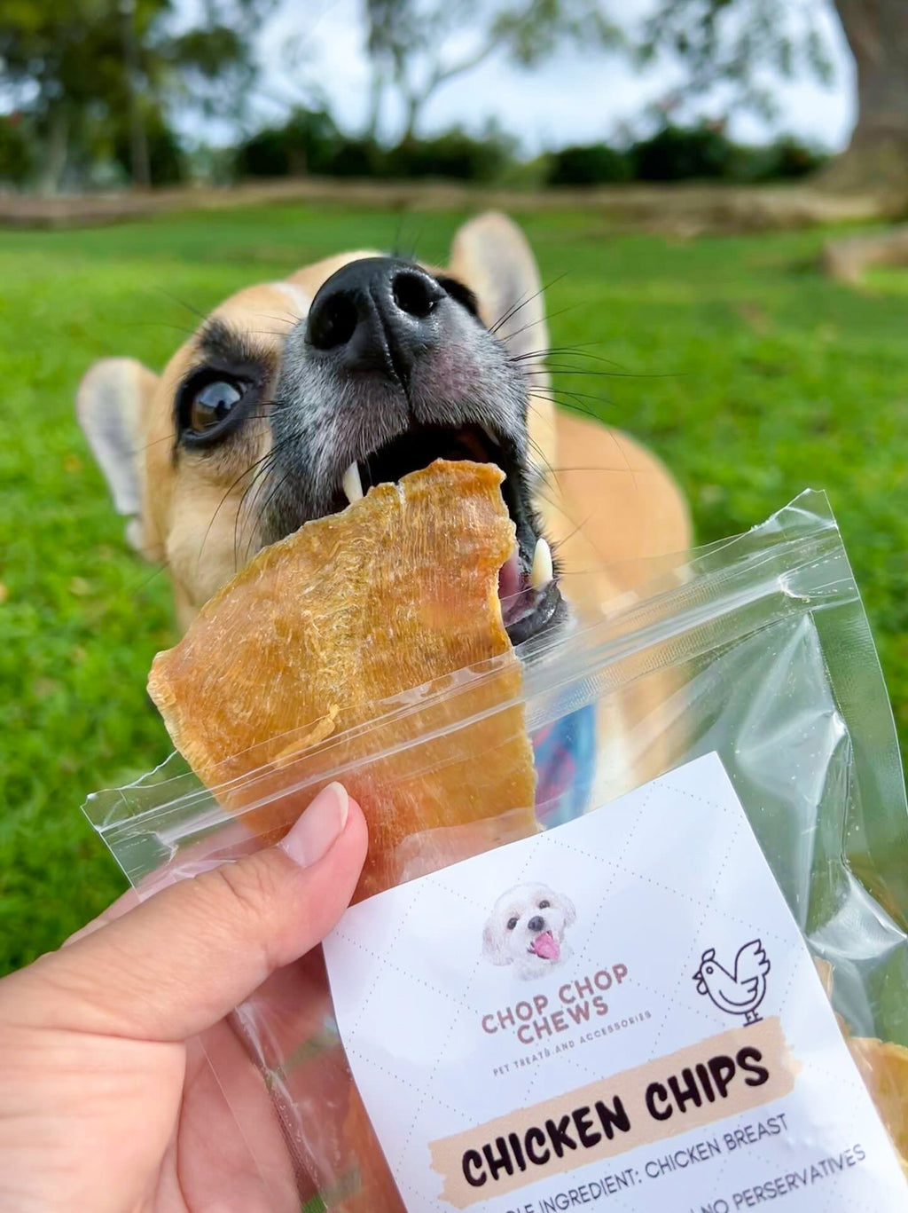 Chicken Chips