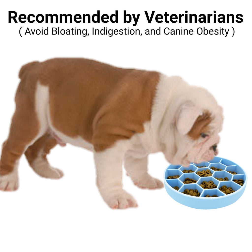 Slow Feeder Dog Bowl product image 5