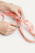 Hands-Free Dog Leash product image 5
