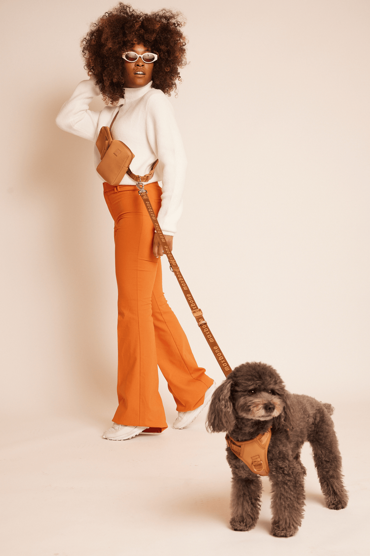 Hands-Free Dog Leash product image 7