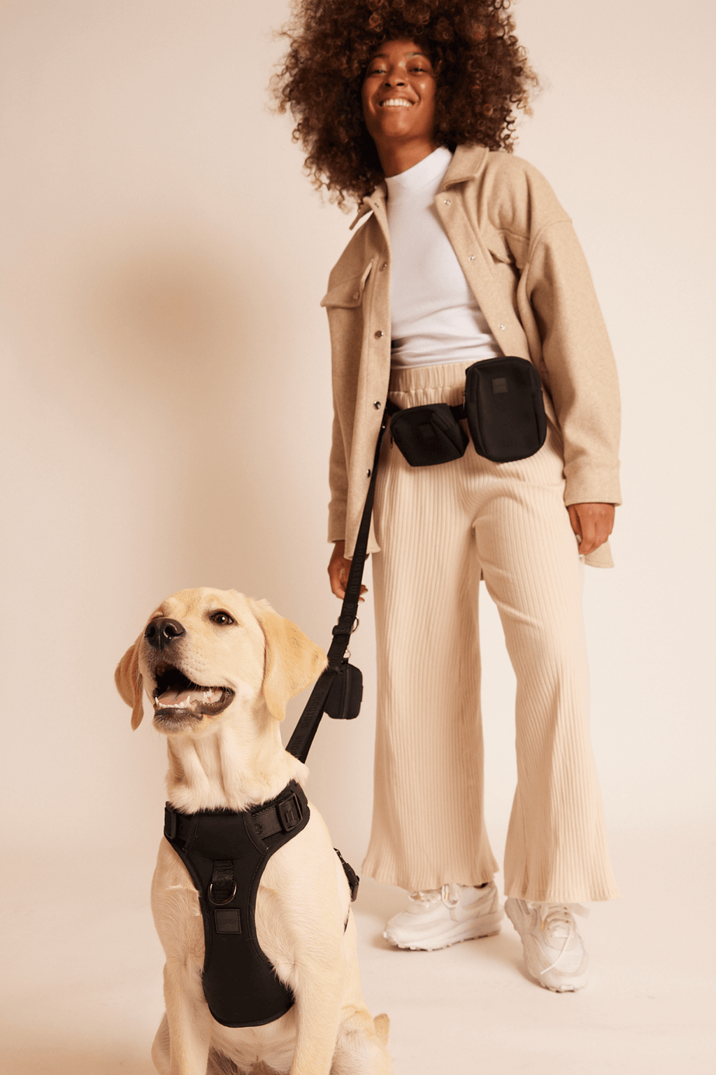 Hands-Free Dog Leash product image 9