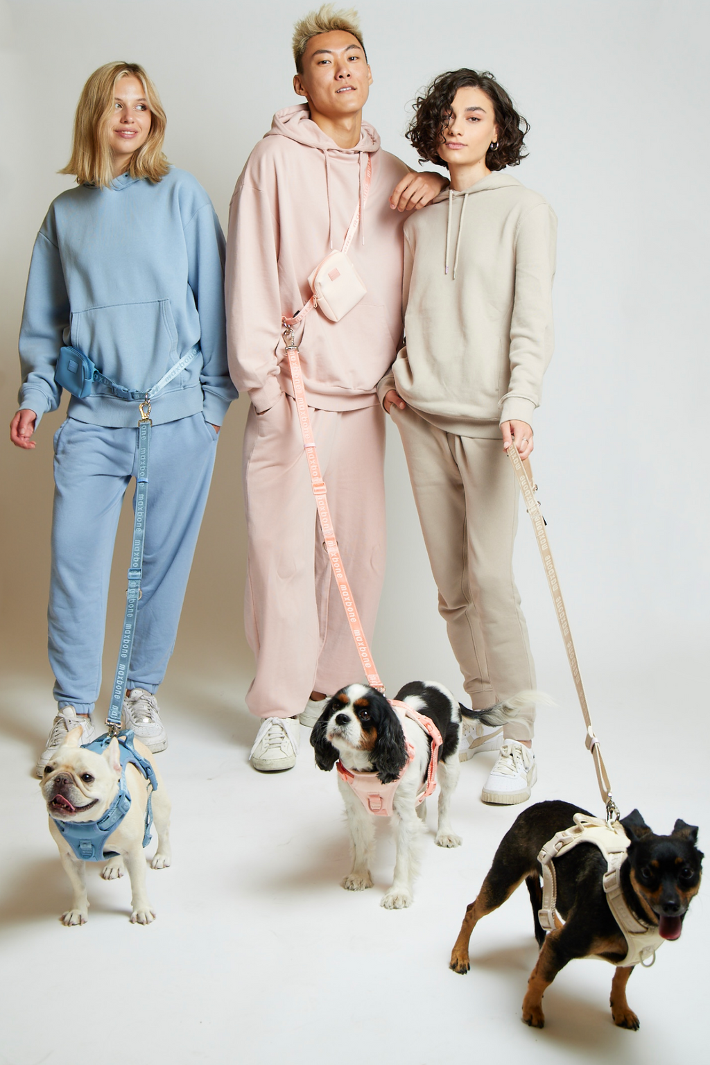 Hands-Free Dog Leash product image 14