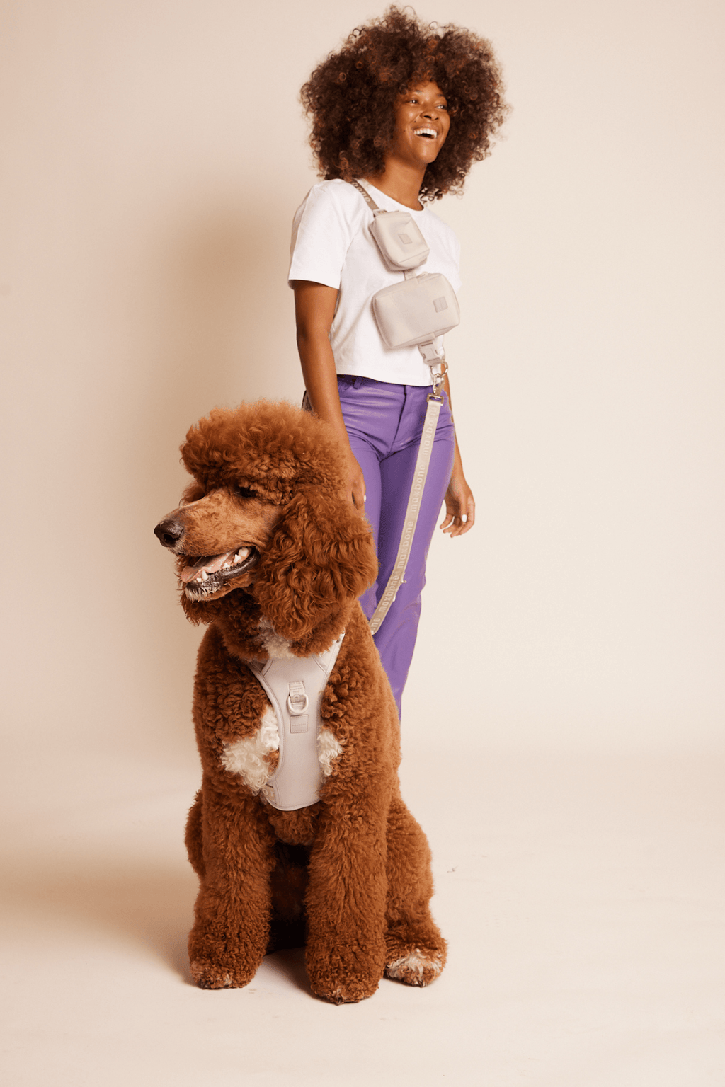 Hands-Free Dog Leash product image 16