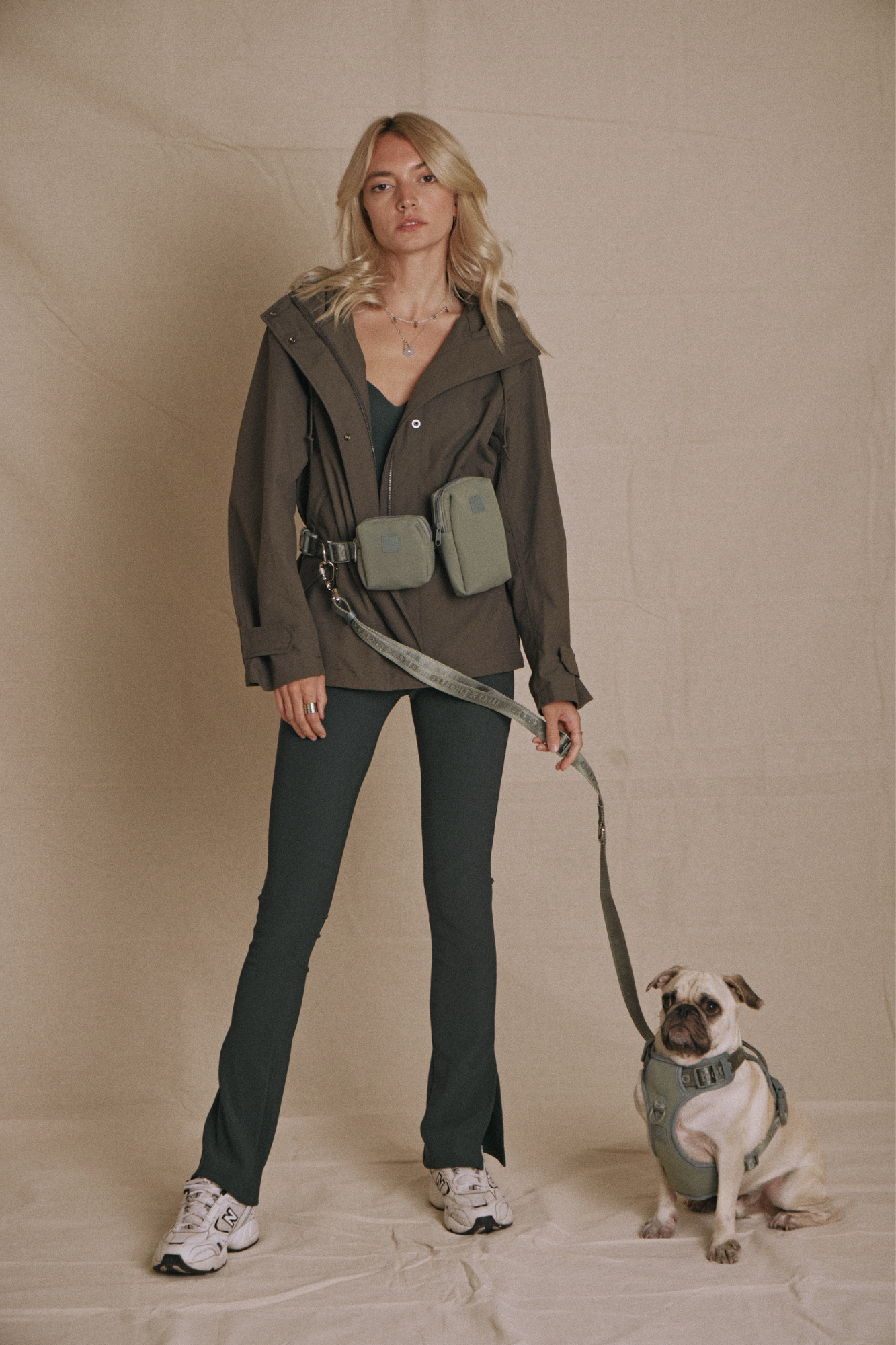 Hands-Free Dog Leash product image 31
