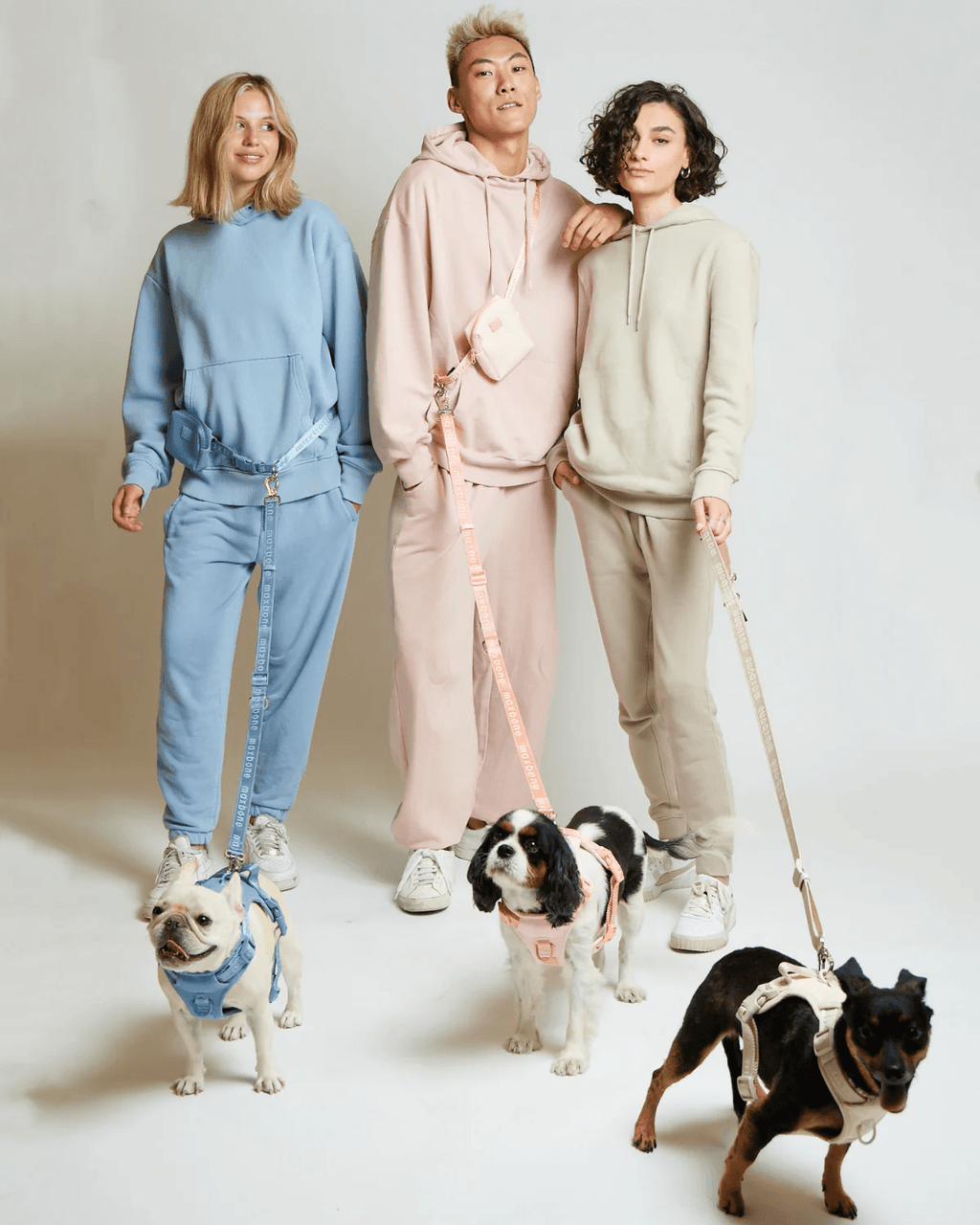 Hands-Free Dog Leash product image 32