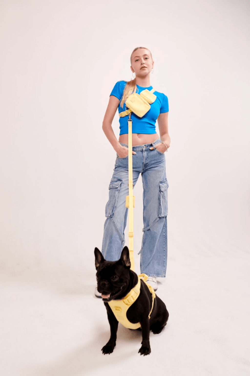 Hands-Free Dog Leash product image 35