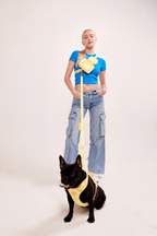 Hands-Free Dog Leash product image 35