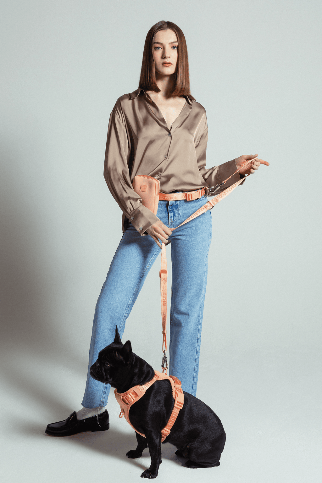 Hands-Free Dog Leash product image 40