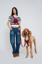 Hands-Free Dog Leash product image 44
