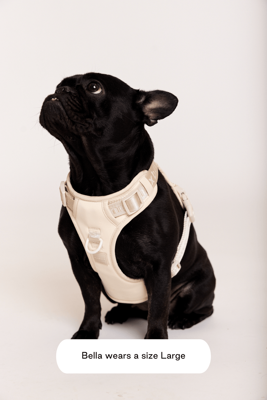 Dog Harness product image 10