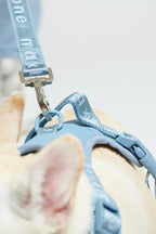 Dog Harness product image 17