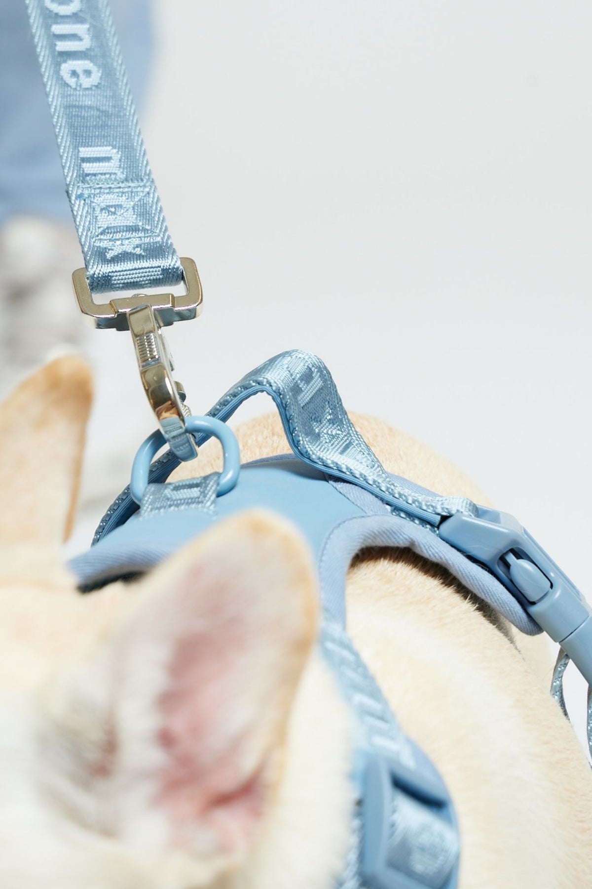 Dog Harness product image 17