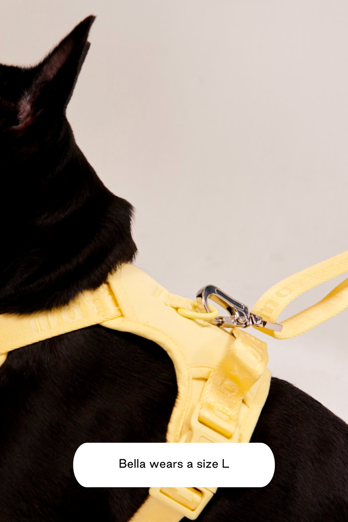 Dog Harness product image 32