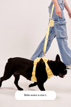 Dog Harness product image 33