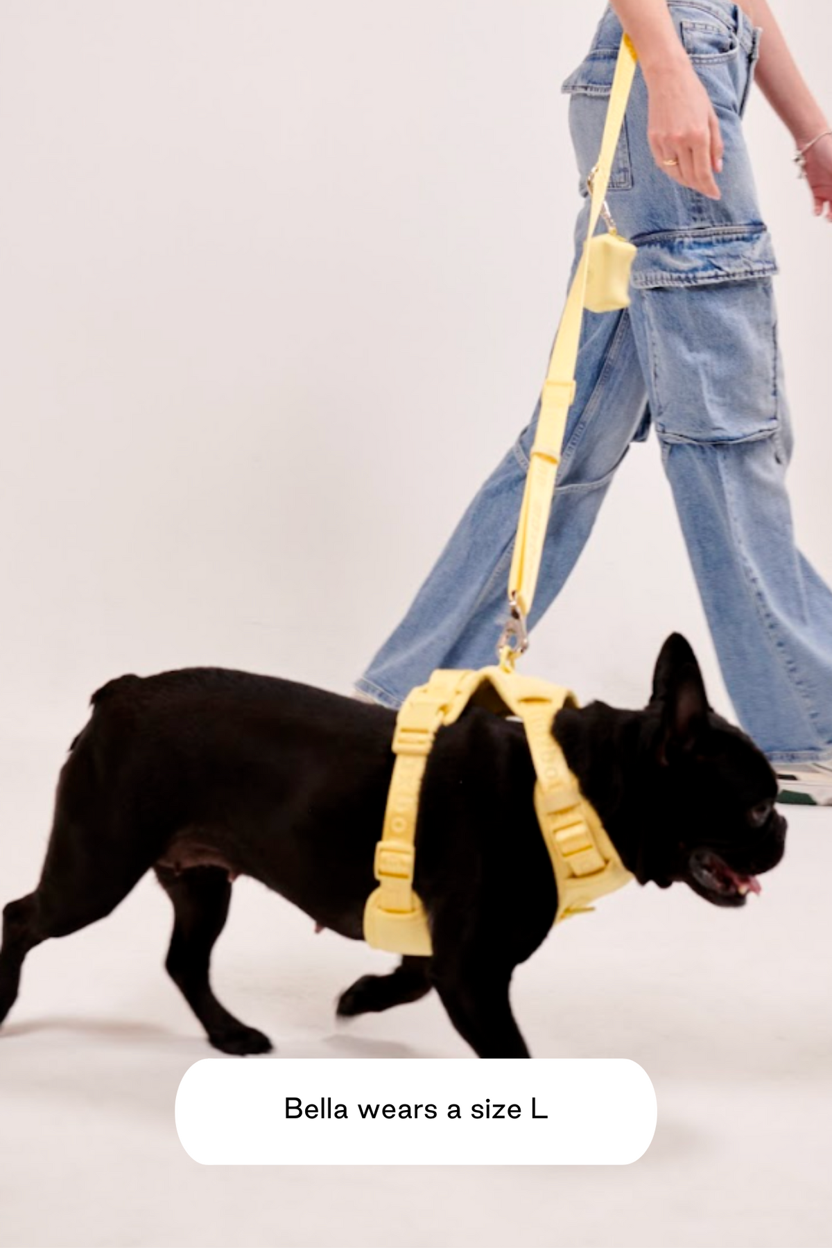 Dog Harness product image 33