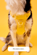 Dog Harness product image 34
