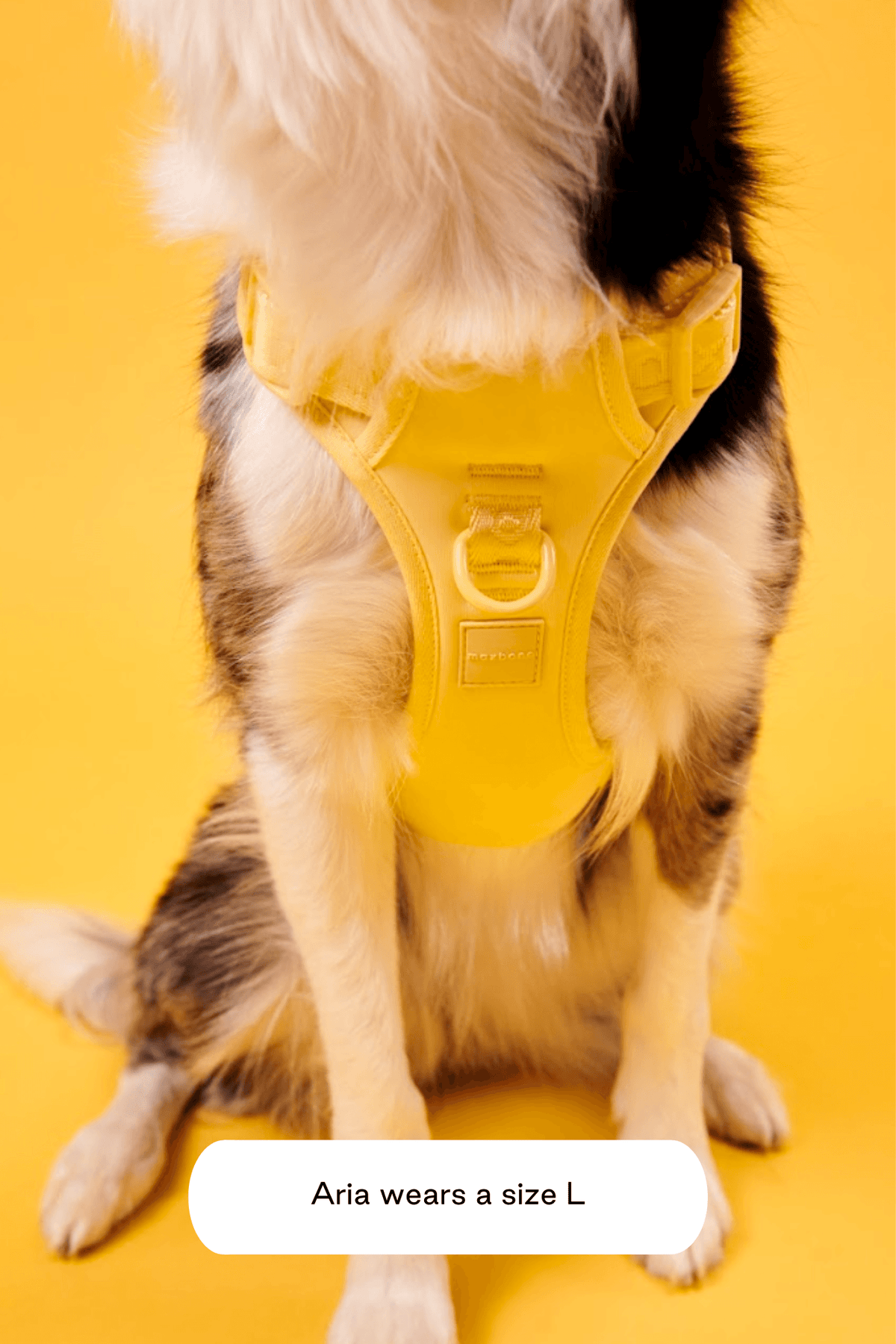 Dog Harness product image 34