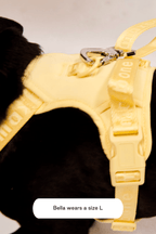 Dog Harness product image 35