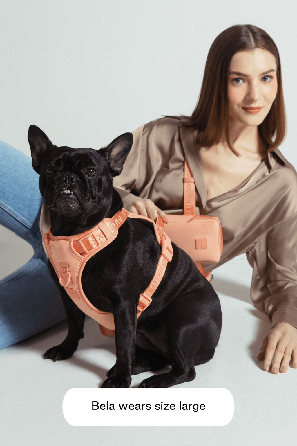Dog Harness product image 37