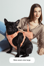 Dog Harness product image 37