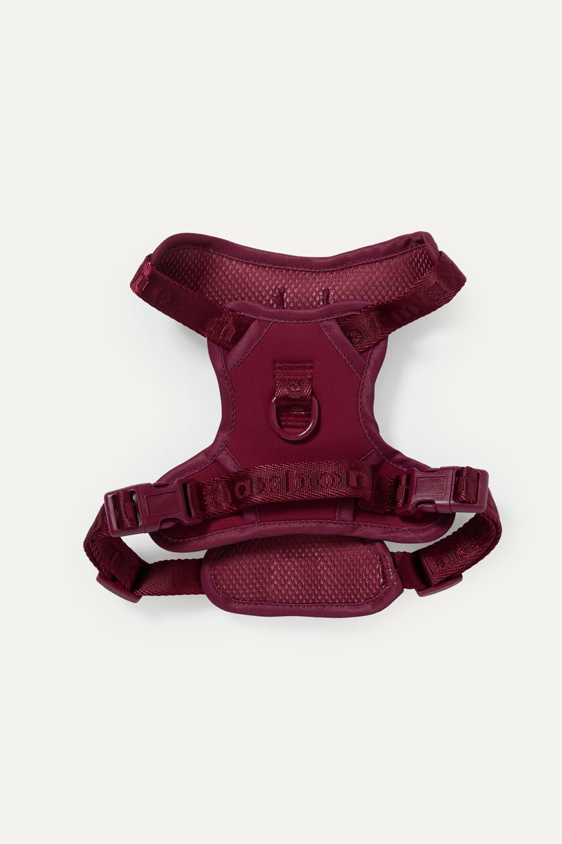 Dog Harness product image 42