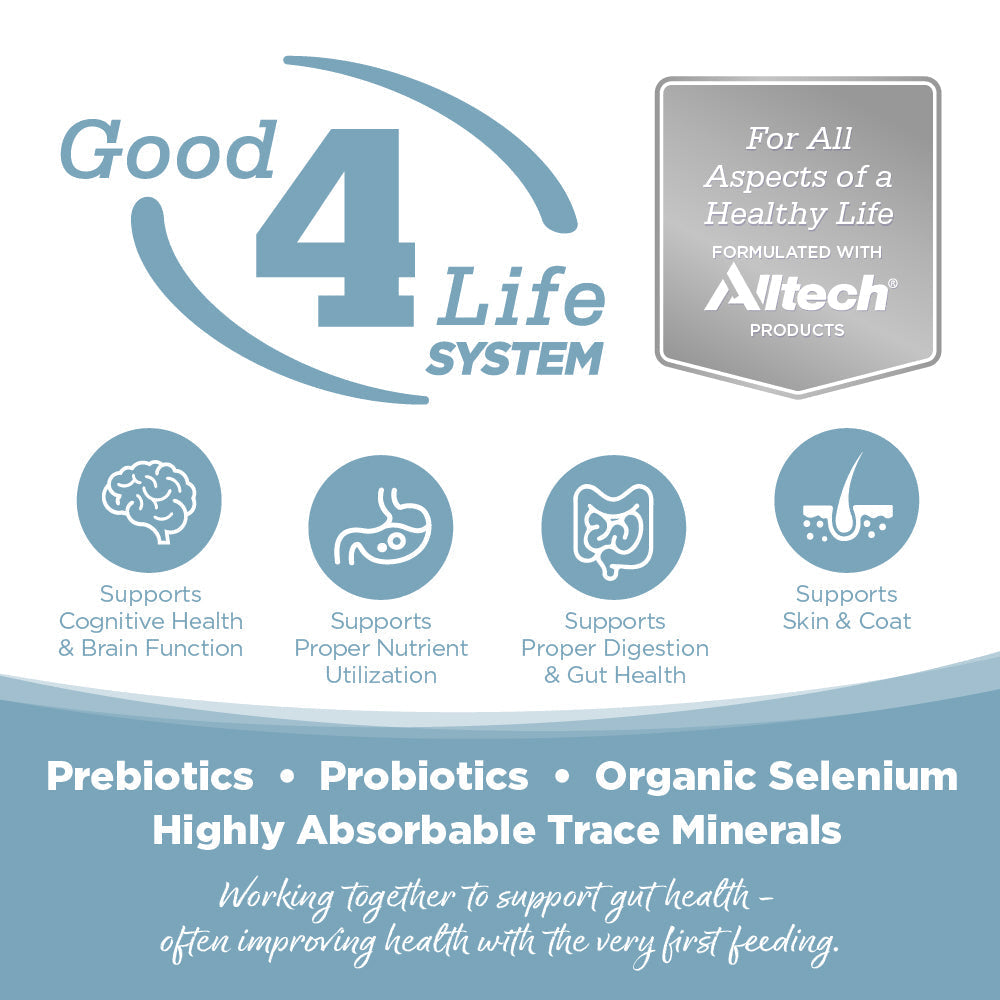 Dog Food product image 3