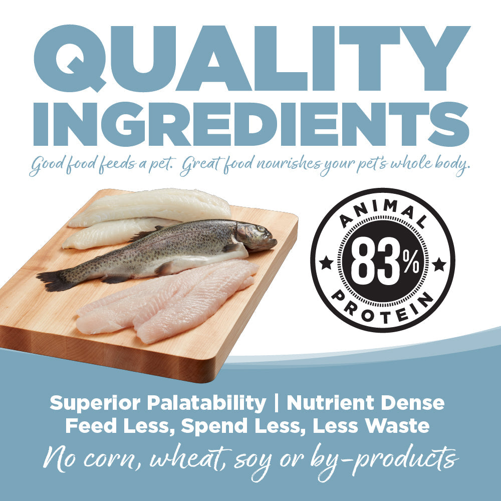 Dog Food product image 7