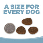 Dog Food product image 9
