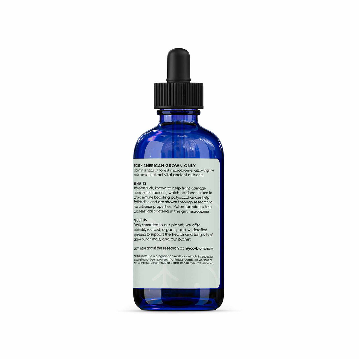 Turkey Tail Mushroom Liquid Extract product image 3