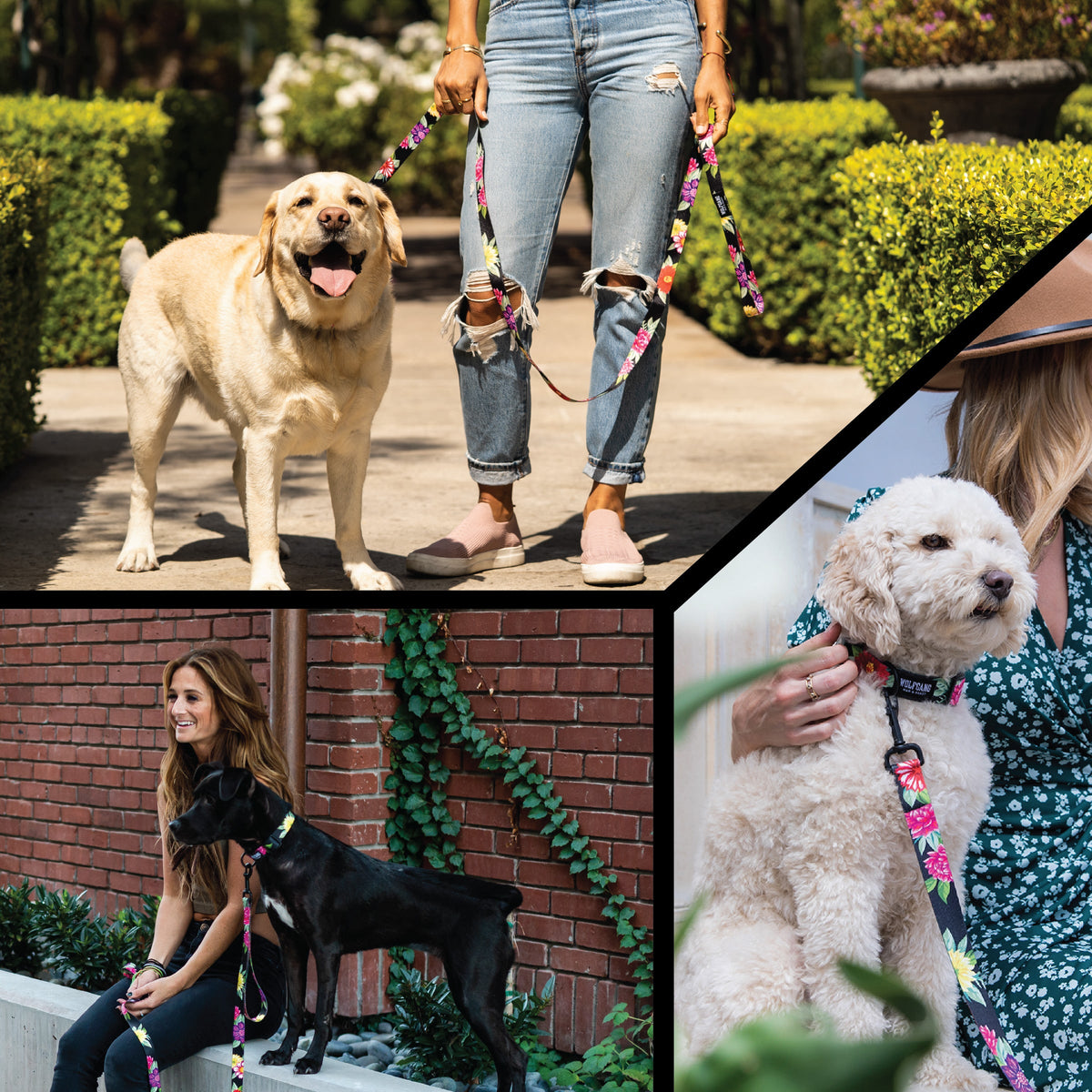 Dog Harness product image 6