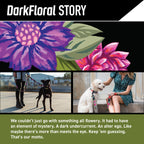 Dog Collar product image 2